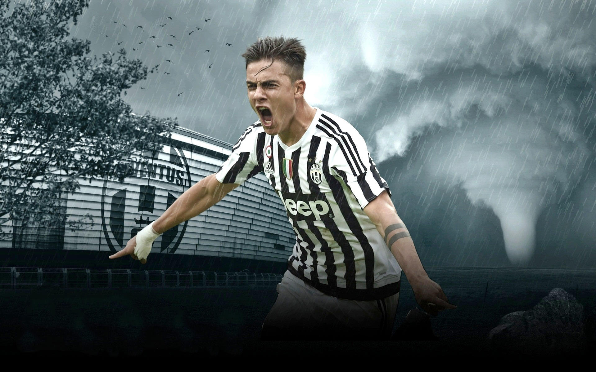 范晓冬：亚泰不破不立需要重建，最适合的人选是杜震宇